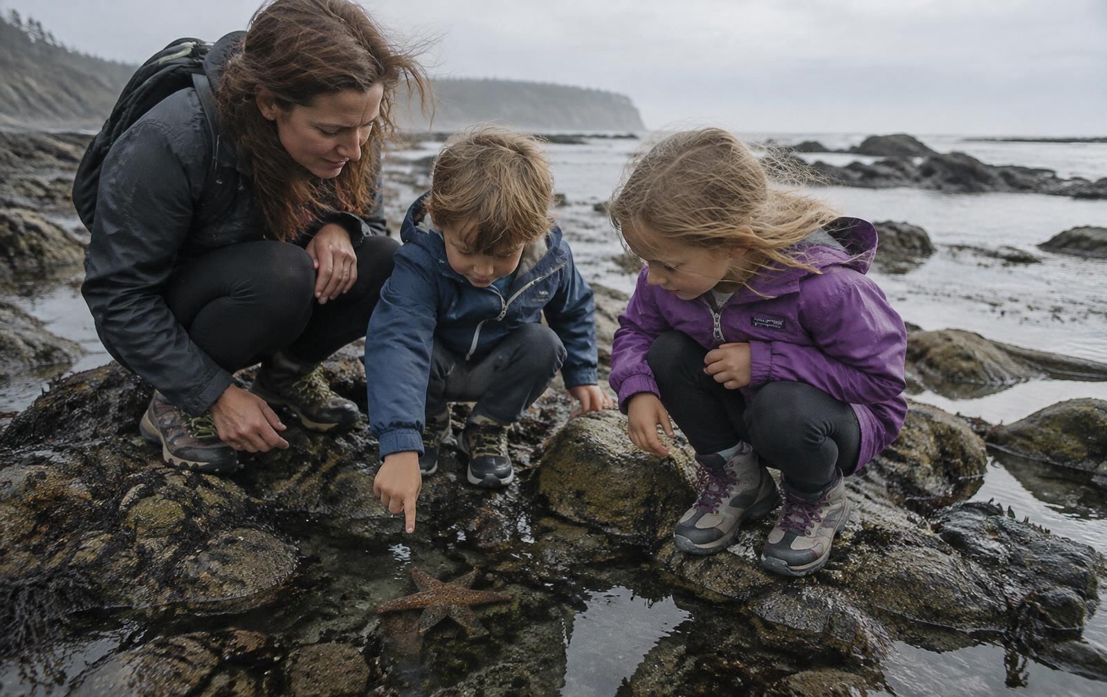 A family exploring tide pools